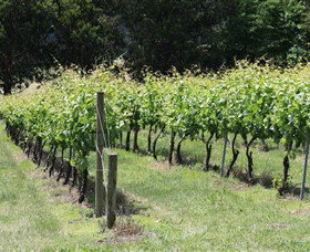Ovens VIC Sunshine Coast Tourism