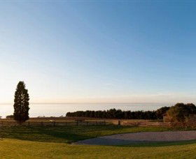 Jack Rabbit Vineyard - Holiday Sunshine Coast 3