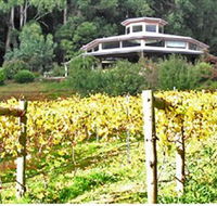 Peveril Vineyard/Beechy Berries - Sunshine Coast Tourism