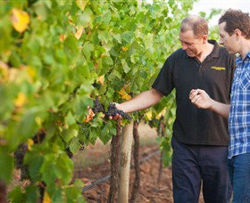 Fratin Brothers Vineyard - Sunshine Coast Tourism 0
