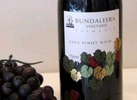 Bundaleera Vineyard - Holiday Sunshine Coast 0