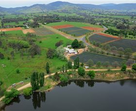 Schmidts Strawberry Winery - Sunshine Coast Tourism 3