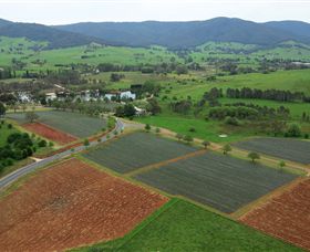 Schmidts Strawberry Winery - Sunshine Coast Tourism 1