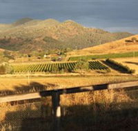 Optimiste Wines