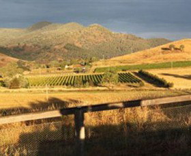 Optimiste Wines - Sunshine Coast Tourism 0