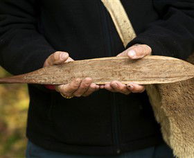 Aboriginal Heritage Walk - Sunshine Coast Tourism 3