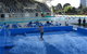 MSAC FlowRider - thumb 3