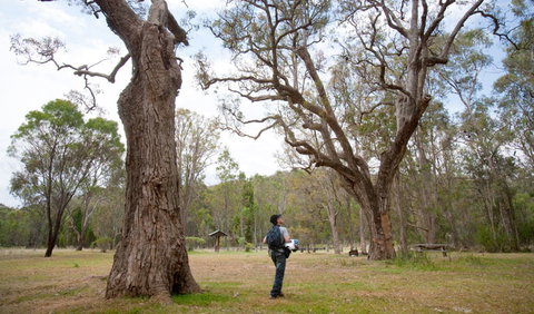 Moolarben Picnic Area - Holiday Sunshine Coast 2