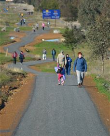 Dog On The Tucker Box Recreational Trail - Holiday Sunshine Coast 1