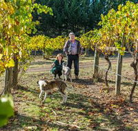 Little River Wines of Taggerty - Sunshine Coast Tourism
