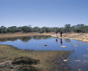 Camel Soak - Sunshine Coast Tourism 0