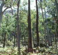 Cathedral Range State Park - Sunshine Coast Tourism