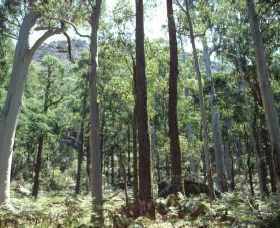 Cathedral Range State Park - Holiday Sunshine Coast 0