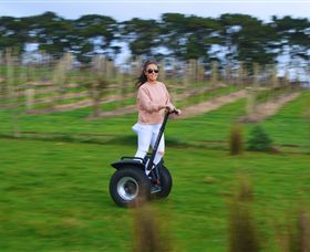 Segway Geelong - Sunshine Coast Tourism 3