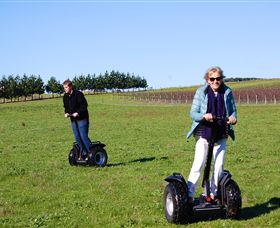 Segway Geelong - Sunshine Coast Tourism 6