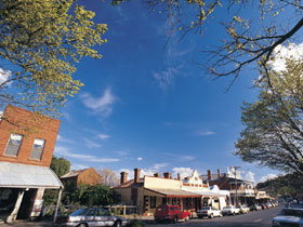 Drysdale Cheeses - Sunshine Coast Tourism 1