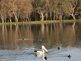 Drysdale Cheeses - Sunshine Coast Tourism 7