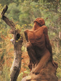 Drysdale Cheeses - Sunshine Coast Tourism 10