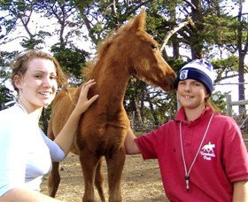 Bellarine Horse Riding Centre - Holiday Sunshine Coast 1