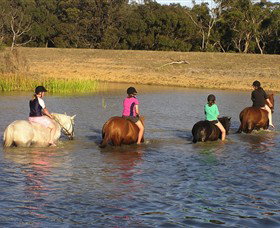 Bellarine Horse Riding Centre - Holiday Sunshine Coast 2