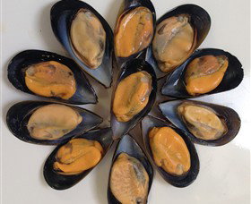Advance Mussel Supply - Sunshine Coast Tourism 3