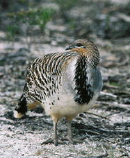 Ongerup ACT Holiday Sunshine Coast