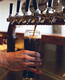 Napoleone Brewery And Ciderhouse - Sunshine Coast Tourism 3