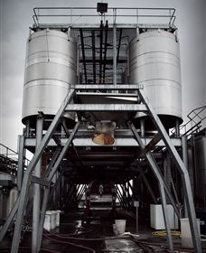 Punt Road Winery - Holiday Sunshine Coast 8