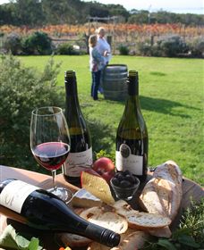 Kiltynane Wines - Holiday Sunshine Coast 1