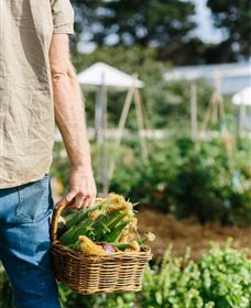 Kiltynane Wines - Holiday Sunshine Coast 6