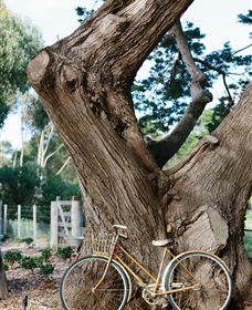 Kiltynane Wines - Holiday Sunshine Coast 8