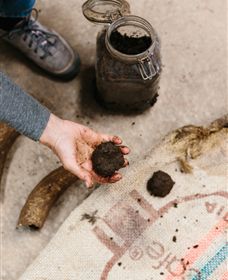 Kiltynane Wines - Holiday Sunshine Coast 7