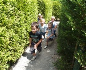 Hedgend Maze And Healesville Laser Sport - Sunshine Coast Tourism 1