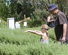 Hedgend Maze And Healesville Laser Sport - Sunshine Coast Tourism 2