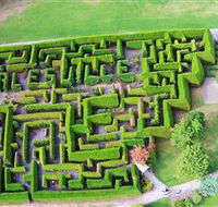 Hedgend Maze and Healesville Laser Sport - Sunshine Coast Tourism