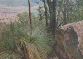 Mount Lawson State Park - Holiday Sunshine Coast 0