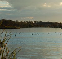 Lake Inverell Reserve - Sunshine Coast Tourism