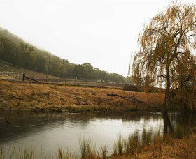 Logan Wines - Sunshine Coast Tourism 6