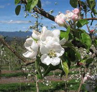 Mouat's Farm - Sunshine Coast Tourism