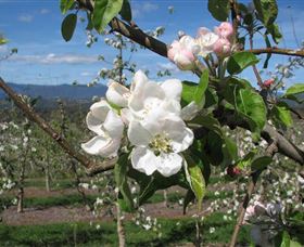 Mouat's Farm - Sunshine Coast Tourism 0