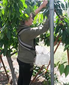 Mouat's Farm - Sunshine Coast Tourism 4