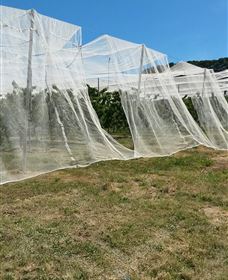 Mouat's Farm - Sunshine Coast Tourism 5