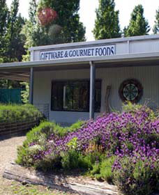 Crisp Galleries - Holiday Sunshine Coast 0