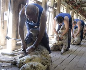The Woolshed At Jondaryan - Holiday Sunshine Coast 1