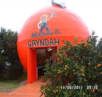 Gayndahs Big Orange - Holiday Sunshine Coast