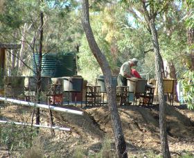 7 Oaks Sapphire Fossicking - Holiday Sunshine Coast 0
