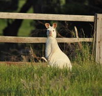 Panorama Garden Estate - Sunshine Coast Tourism