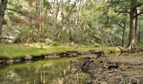 Capertee National Park - Holiday Sunshine Coast 0