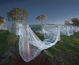 Toppers Mountain Wines - Sunshine Coast Tourism 0