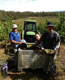 Toppers Mountain Wines - Sunshine Coast Tourism 2